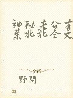 神秘老公有点坏叶北北全文免费阅读