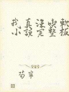 我真没吃软饭 小说完整板