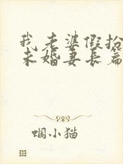 我老婆假扮兄弟未婚妻长篇小说