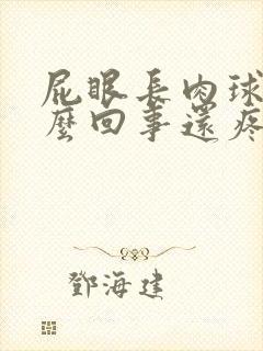 屁眼长肉球是怎么回事还疼