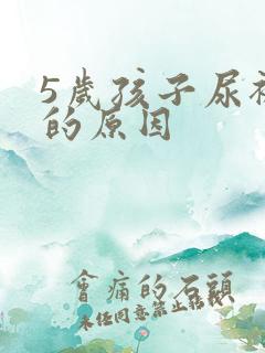 5岁孩子尿裤子的原因