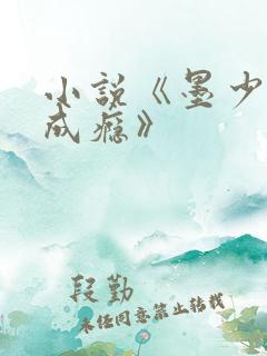 小说《墨少宠妻成瘾》