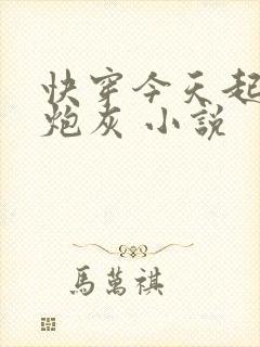 快穿今天起不当炮灰 小说