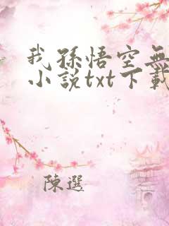 我孙悟空无敌的小说txt下载