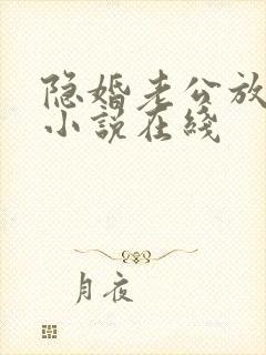 隐婚老公放肆宠小说在线