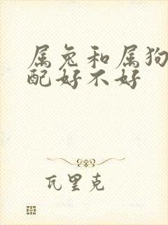 属兔和属狗的婚配好不好