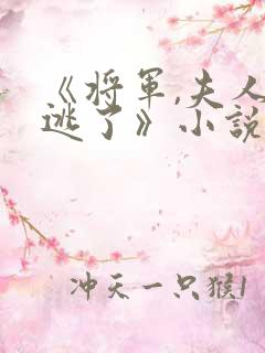 《将军,夫人又逃了》小说