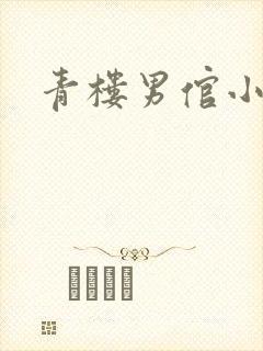 青楼男倌小说