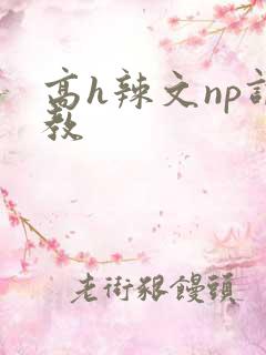 高h辣文np调教