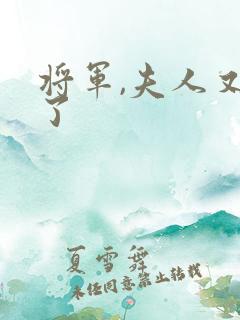 将军,夫人又跑了