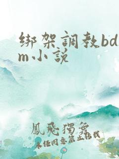 绑架调教bdsm小说