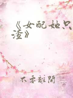 《女配她只想被渣》