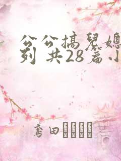 公公搞儿媳妇系列 共28篇小说