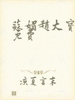 苏媚赵大宝全书免费