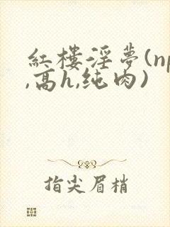 红楼淫梦(np,高h,纯肉)