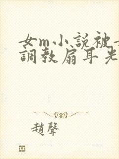 女m小说被女s调教扇耳光