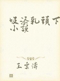 吸添乳头下体的小说