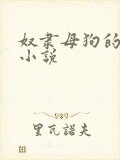 奴隶母狗的调教小说