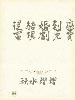 从结婚到恋爱的电视剧免费观看