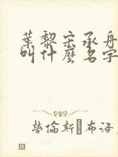 叶黎宋承舟小说叫什么名字