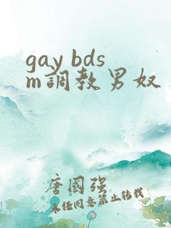gay bdsm调教男奴