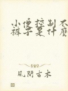 小便控制不住尿裤子是什么原因男