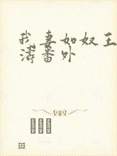 我妻如奴王琳和涛番外