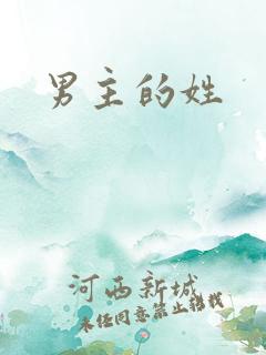 男主的姓