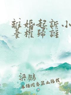 离婚起诉小孩抚养权归谁