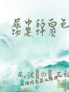 尿中的白色沉淀物是什么