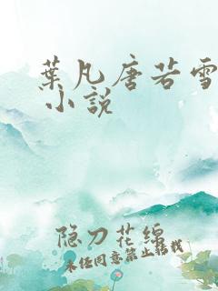 叶凡唐若雪医婿 小说