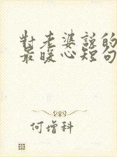 对老婆说的情话最暖心短句