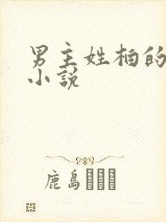 男主姓柏的总裁小说