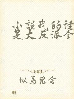 小说我的徒弟都是大反派全文