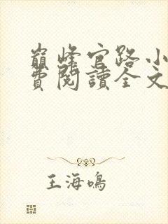 巅峰官路小说免费阅读全文无删减