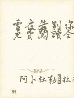 雪夜告别你小说免费阅读全文无弹窗