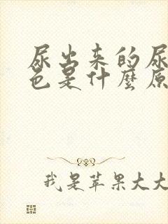 尿出来的尿是红色是什么原因