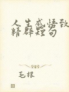 人生感悟致自己精辟短句