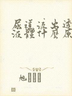 尿道流出透明的液体什么原因