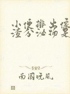 小便排出像豆腐渣分泌物是怎么回事