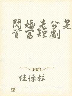 闪婚老公是千亿首富短剧