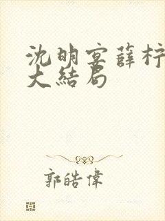 沈明宴薛柠小说大结局