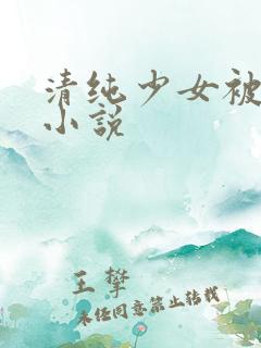 清纯少女被破处小说
