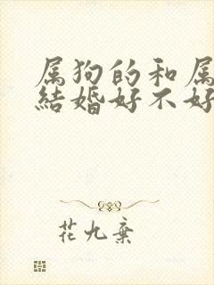 属狗的和属猴的结婚好不好