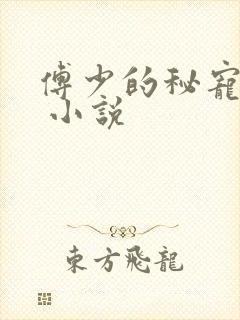 傅少的秘宠娇妻 小说