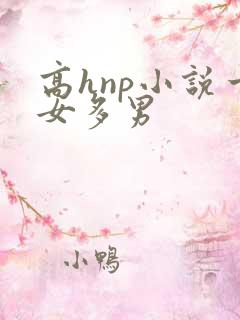高hnp小说一女多男
