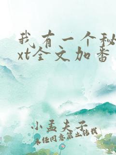 我有一个秘密txt全文加番外