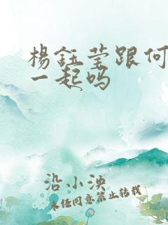 杨钰莹跟何炅在一起吗