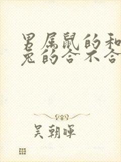 男属鼠的和女属兔的合不合