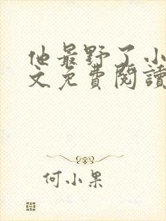 他最野了小说全文免费阅读无弹窗